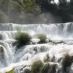 Gallery Nada Жаборич